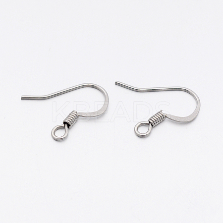 Tarnish Resistant 304 Stainless Steel French Earring Hooks STAS-E074-43-1