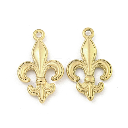 Ion Plating(IP) 304 Stainless Steel Pendants X-STAS-I307-560G-1