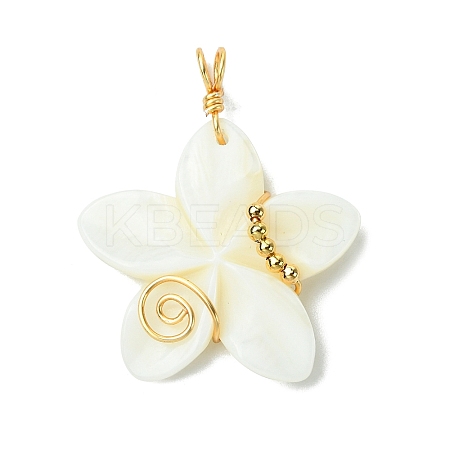 Natural Carved Freshwater Shell Pendants PALLOY-JF03390-1