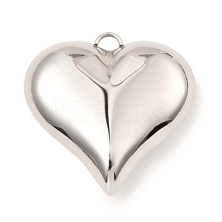 Non-Tarnish 304 Stainless Steel Pendants STAS-A089-01B-P-1