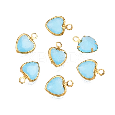 K9 Glass Charms GLAA-T023-11D-1