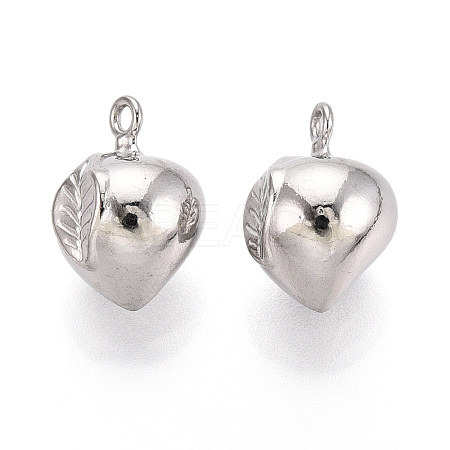 304 Stainless Steel Charms STAS-T067-93P-1