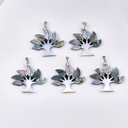 Shell Pendants SHEL-S275-07-1