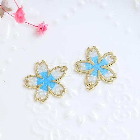 Alloy Enamel Pendants INS-PW0002-06B-04-1