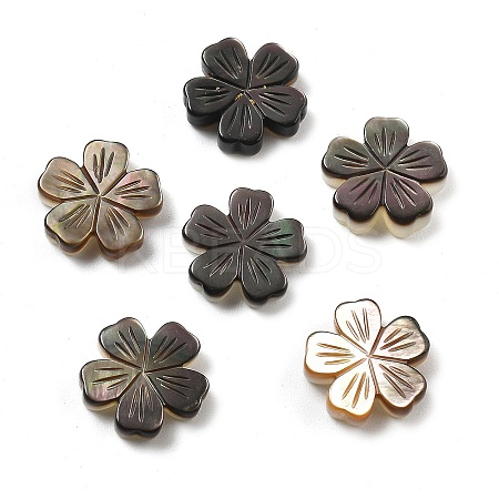 Natural Black Shell Carved Beads SSHEL-Z002-02B-1