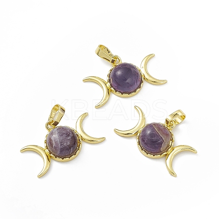 Natural Amethyst Pendants G-H283-02A-1