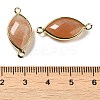 Natural Mixed Stone Faceted Connector Charms G-K347-03G-B-4