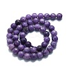 Natural Lepidolite/Purple Mica Stone Beads Strands G-P457-C03-09-3