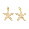 Brass Enamel Pendants KK-CBACBC6-05G-05-1