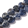 Natural Blue Spot Jasper Beads Strands G-I372-A13-02-1