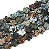 Natural African Turquoise(Jasper) Beads Strands G-N257-24A-05-2