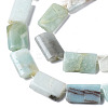 Natural Amazonite Beads Strands G-N0326-72-3