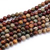 Natural Polychrome Jasper/Picasso Stone/Picasso Jasper Round Bead Strands G-J303-16-6mm-1