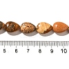 Natural Picture Jasper Beads Strands G-I377-A17-5