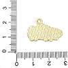 Alloy Enamel Pendants ENAM-I075-01G-04-3