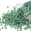 TOHO Round Seed Beads SEED-XTR08-PF0561-1