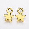 Tibetan Style Alloy Charms LS-TIBEP-A123046-AG-FF-2