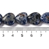 Natural Blue Spot Jasper Beads Strands G-I372-A13-02-3