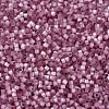 MIYUKI Delica Beads X-SEED-J020-DB1806-3