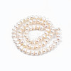 Natural Cultured Freshwater Pearl Beads Strands PEAR-N013-04B-01-2