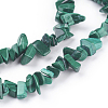 Natural Malachite Beads Strands X-G-F079-02-3