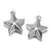 Tarnish Resistant 201 Stainless Steel Charms STAS-G081-09P-1
