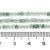Natural Green Strawberry Quartz Beads Strands G-H042-B11-01B-5