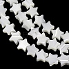 Natural Trochid Shell/Trochus Shell Beads Strands SH-CBA2978-17A-3