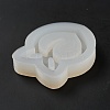 DIY Peach Shape Quicksand Silicone Molds DIY-E048-03-4