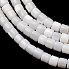 Natural Freshwater Shell Beads Strands SH-CBA2978-21C-2