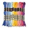 12 Skeins 12 Colors 6-Ply Polyester Embroidery Floss OCOR-M009-01B-04-1