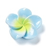 Opaque Resin Cabochons RESI-G068-02A-1