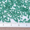 MIYUKI Round Rocailles Beads X-SEED-G007-RR0295-4
