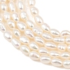 Natural Cultured Freshwater Pearl Beads Strands PEAR-F020-17-4