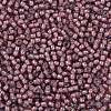 TOHO 11/0 Round Beads X-SEED-TR11-0305-2