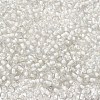 6/0 Transparent Glass Seed Beads SEED-F003-03A-07-3