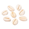 Natural Cowrie Shell Beads BSHE-Q296-1-1