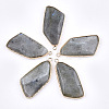 Natural Labradorite Pendants G-T112-20B-1