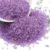 Transparent Inside Colours Glass Seed Beads SEED-H003-04E-1