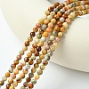 Natural Crazy Lace Agate Round Bead Strands X-G-E334-4mm-20-3