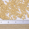 MIYUKI Delica Beads Small SEED-X0054-DBS0230-4