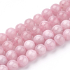 Natural Rose Quartz Beads Strands G-T064-23-8mm-1