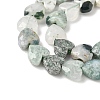 Natural Tree Agate Beads Strands G-D316-B07-3