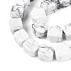 Natural Howlite Beads Strands G-N353-03A-07-4