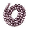 Eco-Friendly Dyed  Glass Pearl Round Beads Strands HY-A002-8mm-RB062-5