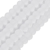 Transparent Glass Beads Strands EGLA-A044-T8mm-MD19-1