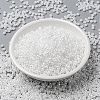 MIYUKI Round Rocailles Beads X-SEED-G008-RR0528-2
