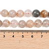 Natural Lodolite Quartz Beads Strands G-Z133-A02-8mm-01-5