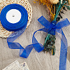 1 Rolls Sheer Organza Ribbon SRIB-CY0001-22A-01-4