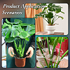 Acrylic Plant Supports FIND-WH0172-86A-6